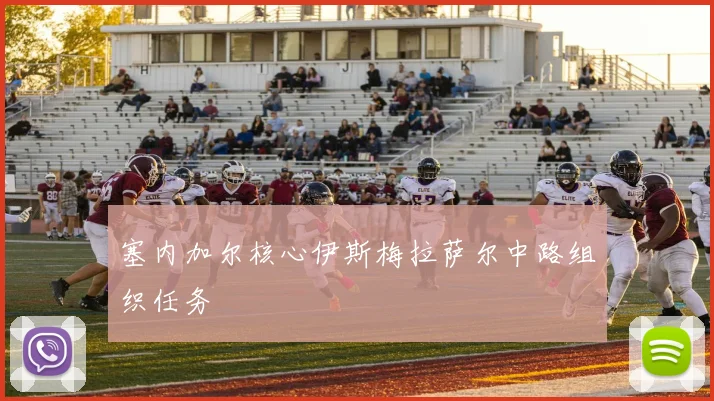 塞内加尔核心伊斯梅拉萨尔中路组织任务