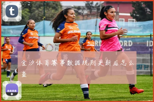 金沙体育赛事数据规则更新后怎么查
